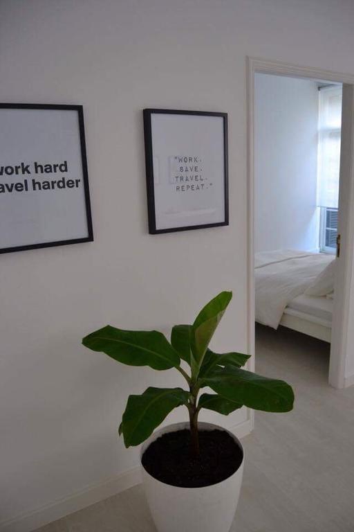 Charming Apartment 101 Funchal  Ngoại thất bức ảnh